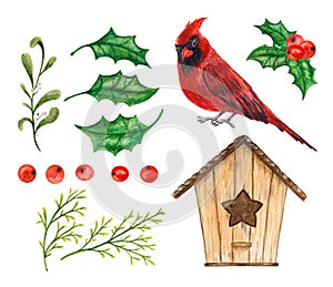 Christmas clip art set red cardinal with holly and cereal branches, sitting on a birdhouse.