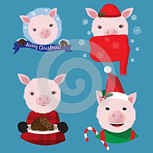 Christmas collection with four funny pigs on the blue background