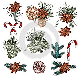 Christmas collection of vector cones, candy and fur tree branches