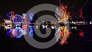 Christmas Colorful lights in the Zoolights Festival