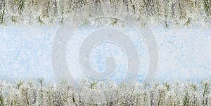 Christmas composition banner background. Green snowy fir branches borders on blue frozen texture background with copy space