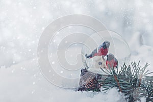 Christmas composition. Christmas snow globe in a snowy forest. Christmas, winter, new year concept