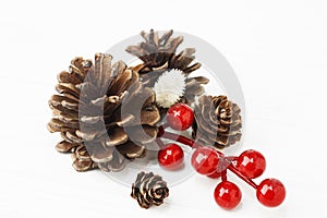Christmas composition of cones and branches of red berries isolated on a white background. Christmas, New Year`s concept. close-u