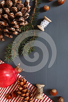 Christmas composition. Cones. Fir branches