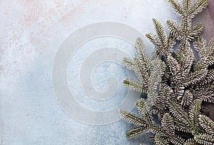 Christmas composition fir tree branches, gold sterne on blue background