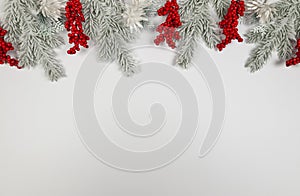 Christmas composition, fir tree branches, white flowers, red berries on white background.