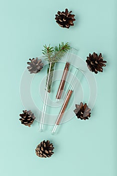 Christmas composition of glass test tubes, fir cones and cinnamon on a mint background. Top view, flat lay. Medical New Year