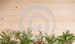 Christmas composition with live branches of a coniferous tree. The form for the text of the New Year banner on a wooden