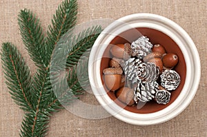 Christmas composition. New Year.