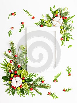 Christmas composition  with photo frame, cotton flower, branches of spruce and holly with red berries on white background. Merry