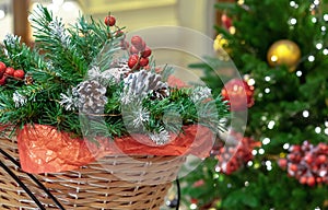 Christmas composition with pine cones, Christmas tree branches and red berries in a wicker basket