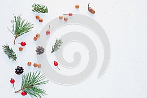 Christmas composition. Pine green branches, pine cones, hazelnuts, acorns, red berries on white background, frame, corner.