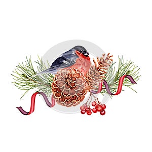 Christmas composition with red bullfinch bird perched on pine tree with ribbons, pine cones and rowan berries. Hand drawn