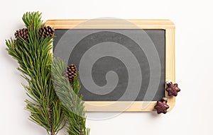Christmas composition. Spruce branches and blank blackboard, on a white background