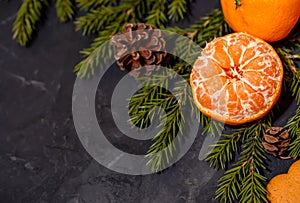 Christmas composition with tangerines on black background, with green spruce tree branch. Flat lay