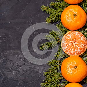 Christmas composition with tangerines on black background, with green spruce tree branch. Flat lay