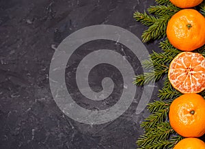 Christmas composition with tangerines on black background, with green spruce tree branch. Flat lay