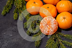 Christmas composition with tangerines on black background, with green spruce tree branch. Flat lay