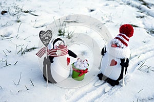 Christmas composition: two soft toys funny penguins in knitted hats.