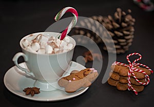 Christmas concept: a cup of hot chocolate with candycane and mar