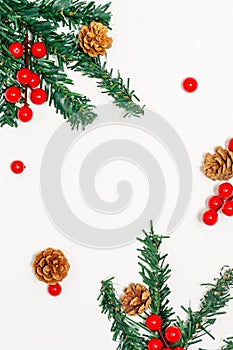 Christmas concept, Fir tree branches decorating with pine cones and red berries on white background