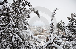 Christmas concept at Kozani town. Snowy city view between trees. Snow at rooftops of buildings background.