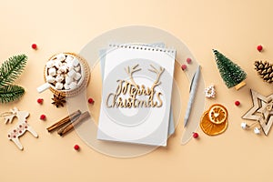 Christmas concept. Top view photo of diary merry christmas wooden text pen ornaments pine branch cone cup of cocoa with