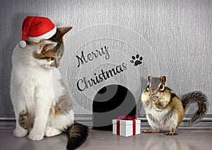 Christmas congratulate concept, Funny cat with santa hat and gif