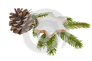 Christmas cookie fir branch and pine cone