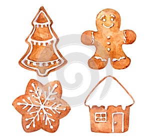 Christmas cookies gingerbread set.