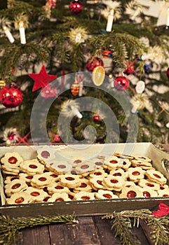 Christmas cookies under the Christmas tree