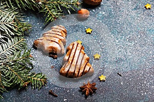 Christmas cookies witch chocolate, gingerbread cookies and fir twigs on dark background. Copy space for your text