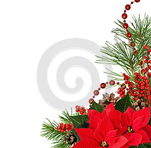 Christmas corner arrangement with pine twigs, red berries and poinsettia flowers isolated on white