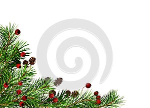 Christmas corner arrangement with pine twigs, small cones and red berries isolated on white