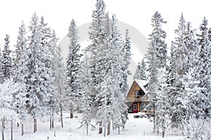 Christmas cottage in winter wonderland