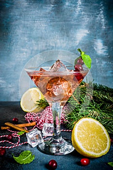Christmas cranberry cocktail