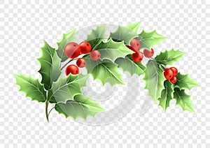 Christmas crescent holly branch illustration
