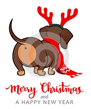 Christmas dachshund puppy dog  cartoon illustration. Cute wiener sausage dog  wearing red scarf and antlers. Funny doxie