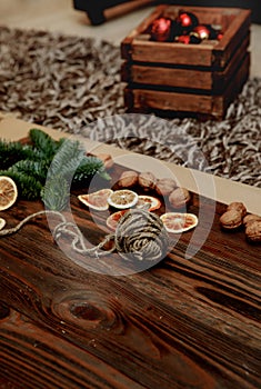 Christmas decor fir, dryed citrus