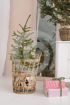Christmas decor in the living room: a Christmas tree in a wicker basket and gift boxes tied with a satin ribbon