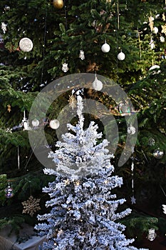 CHRISTMAS DECORATED PLACED AT TAIN STATION