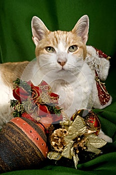 Christmas decoration