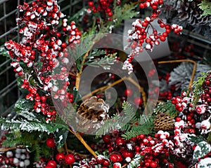 Christmas decoration background. Holly branches with berries in hoarfrost. Christmas symbols snow, pine cone and oak holly berries