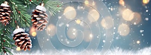 Christmas Decoration Banner - Snowy Pine Cones On Fir Branch