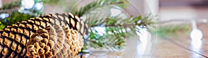 Christmas Decoration Banner - Snowy Pine Cones On Fir Branch With Christmas Lights