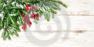 Christmas decoration border. Fir tree branch with red berries