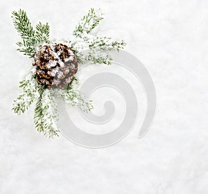 Christmas decoration. Branch christmas tree and cone pine on snow. Top view, flat lay