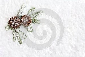 Christmas decoration. Branch christmas tree and cone pine on snow. Top view, flat lay
