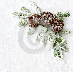 Christmas decoration. Branch christmas tree and cone pine on snow. Top view, flat lay