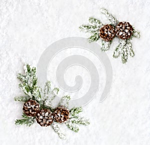 Christmas decoration. Branch christmas tree and cone pine on snow. Top view, flat lay